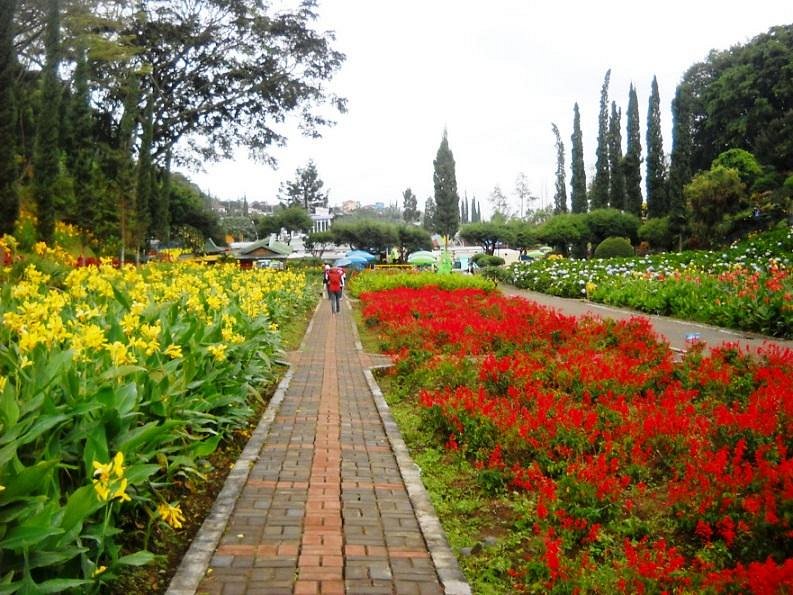Taman bunga dan kebun teh kawasan Selecta Bumiaji Batu yang hijau dan asri