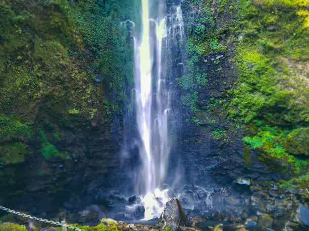 Coban Rondo air terjun hutan Batu
